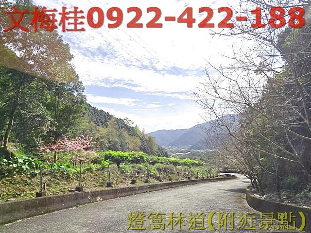 宜蘭員山農地-9