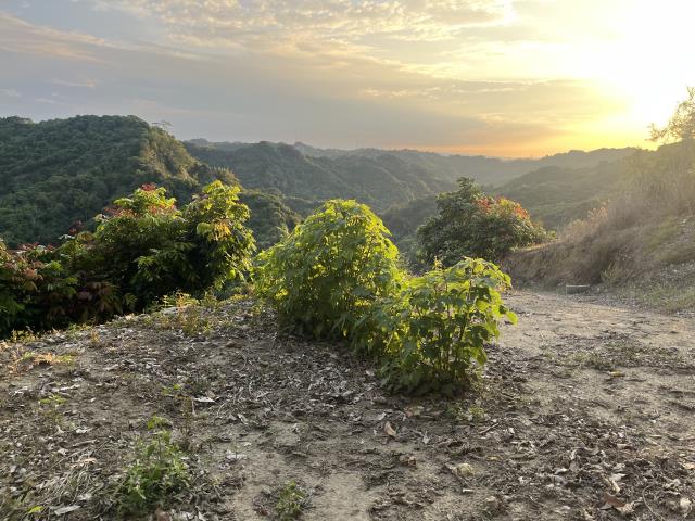 台中霧峰山坡地-10