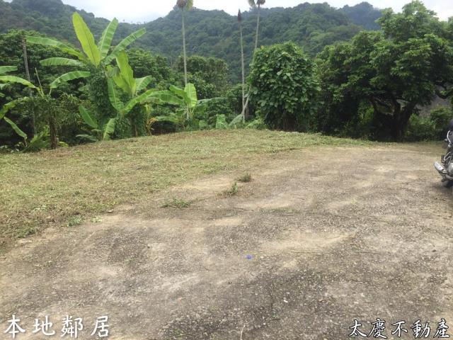 台中霧峰山坡地-11