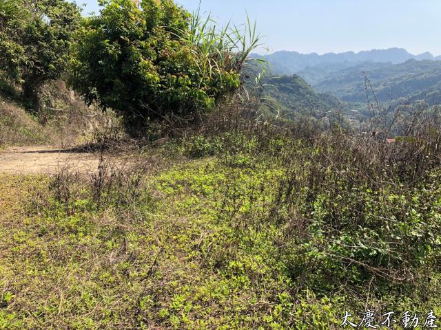 台中霧峰山坡地-12