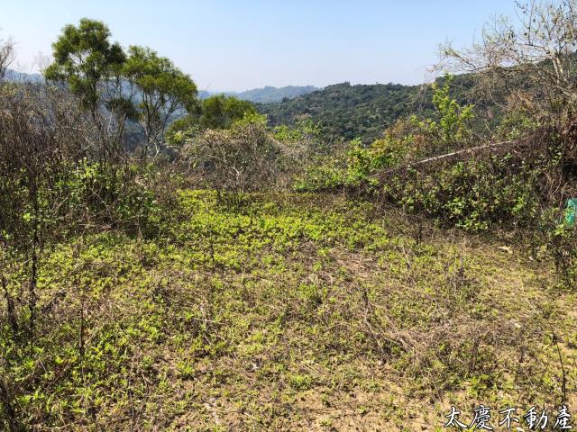 台中霧峰山坡地-13