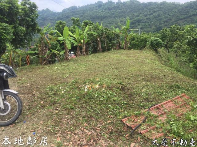 台中霧峰山坡地-14