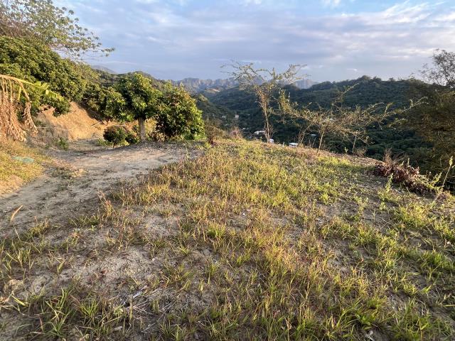 台中霧峰山坡地-1
