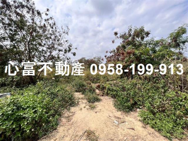 台南麻豆工業地-1
