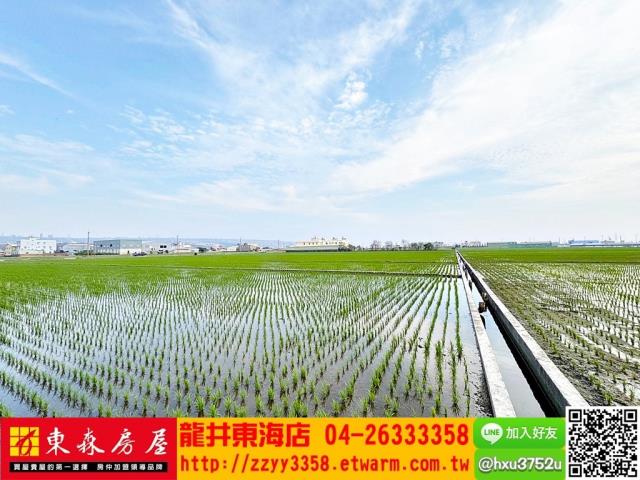 台中龍井農地-11