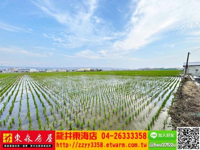 台中龍井農地-3