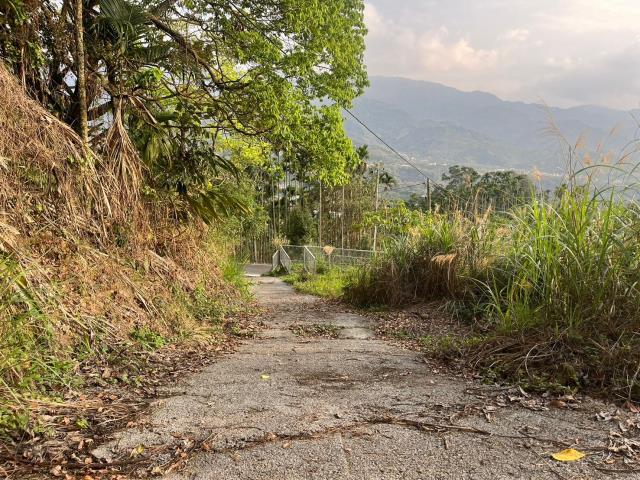 南投鹿谷山坡地-1