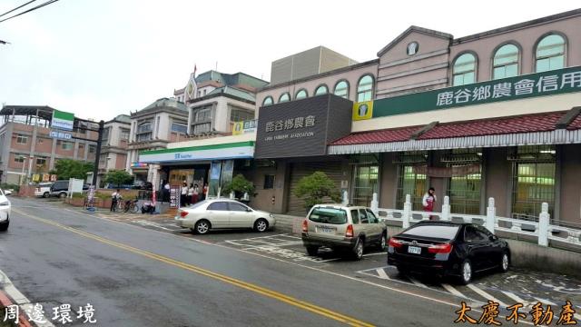 南投鹿谷山坡地-7
