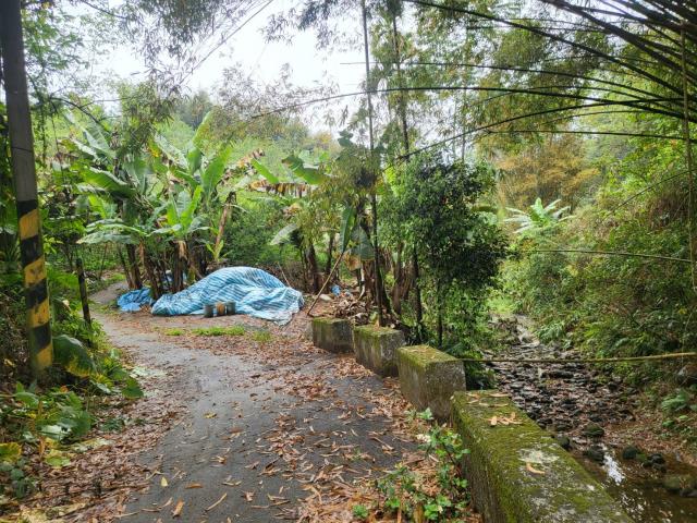 台中東勢農地-1