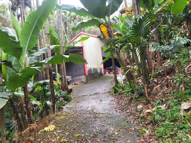 台中東勢農地-5