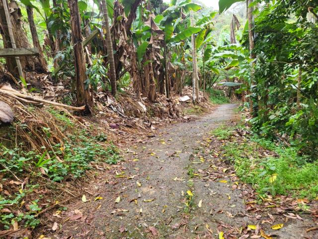 台中東勢農地-6