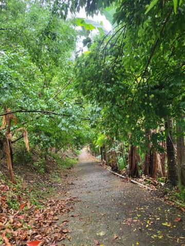 台中東勢農地-7