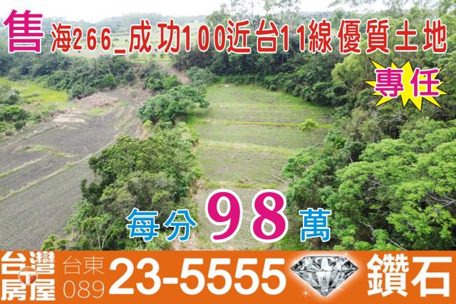 成功農地-1