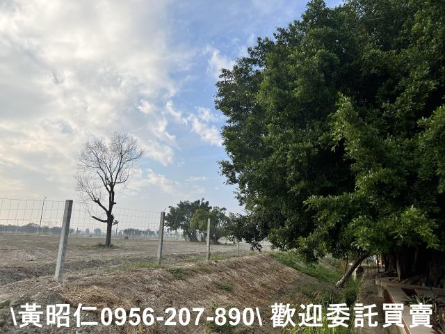 麻豆工業地-6