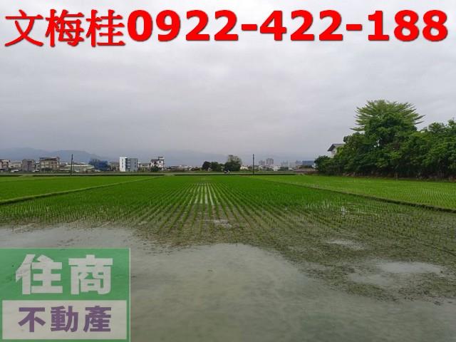 宜蘭宜蘭市農地-1