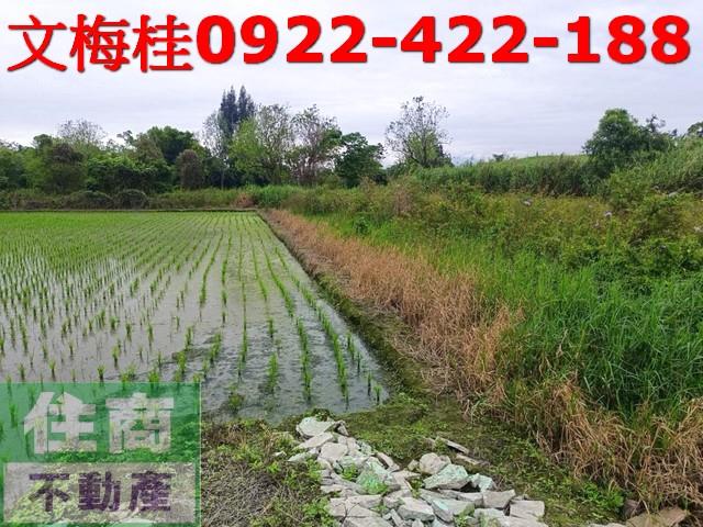 宜蘭宜蘭市農地-3