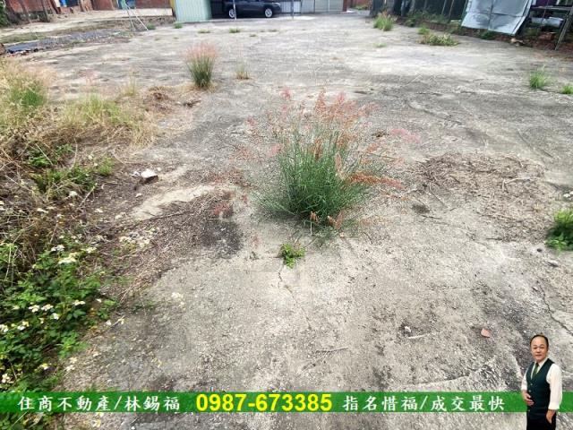 安定建地-1