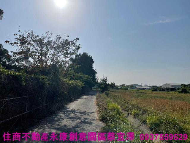 台南農地-6