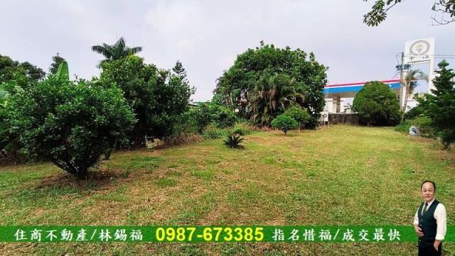 台南農地-10