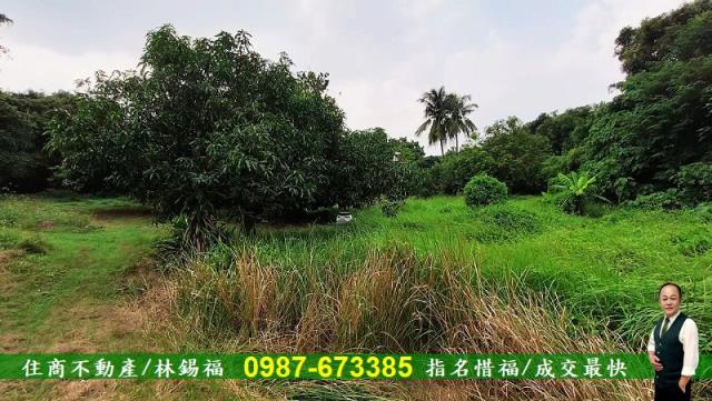 台南農地-12
