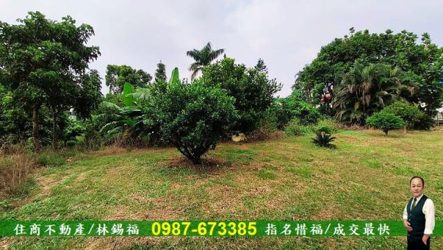 台南農地-13