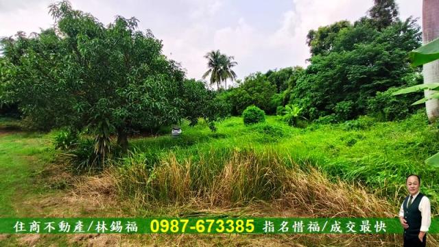 台南農地-5