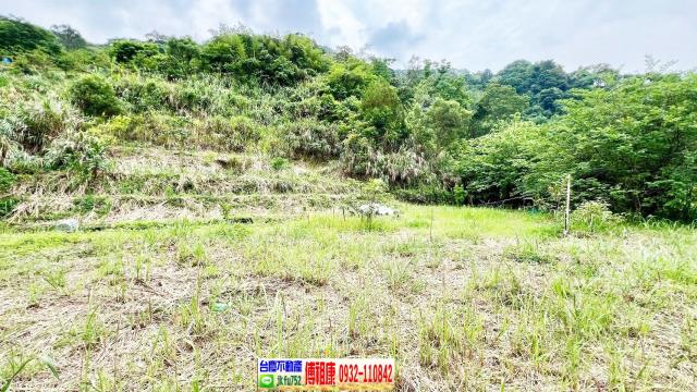 新竹橫山農地-3