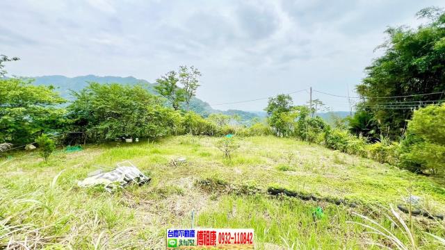 新竹橫山農地-4