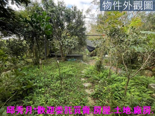 三芝農地-11