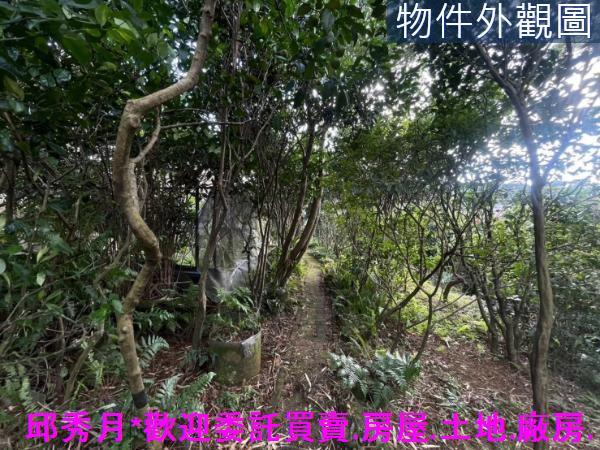 三芝農地-8