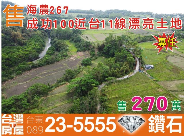 台東成功農地-1