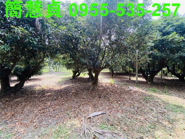 草屯農地-2