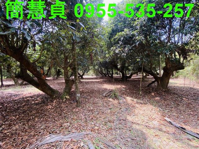 草屯農地-3