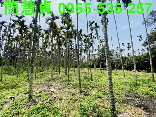 草屯農地-4