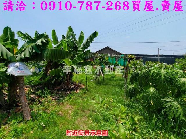 新營農地-15