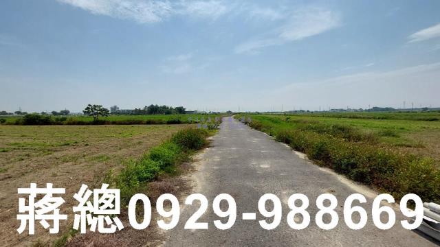 台南新市農地-4