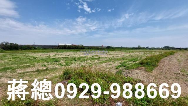 台南新市農地-7