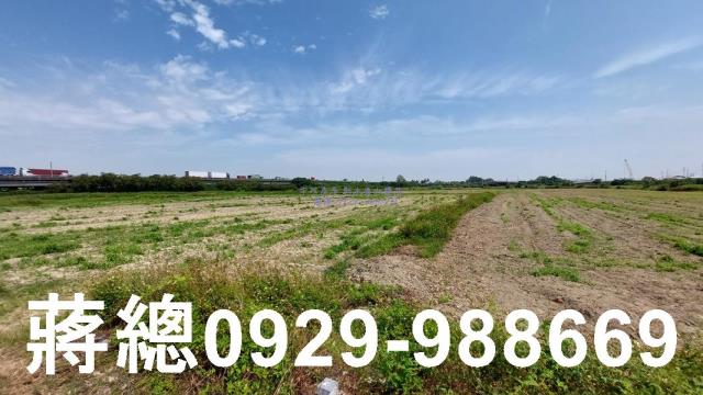 台南新市農地-6