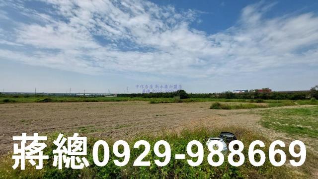 台南新市農地-8