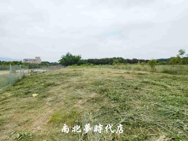 玉井農地-2