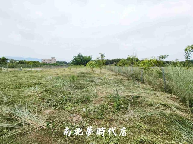 玉井農地-6