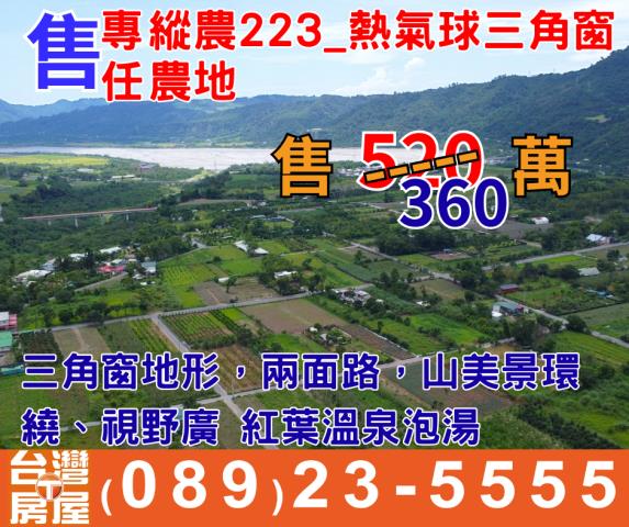 台東鹿野農地-1