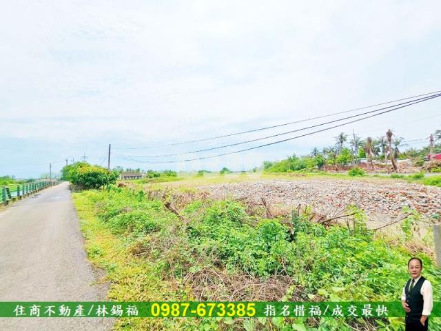新市農地-2