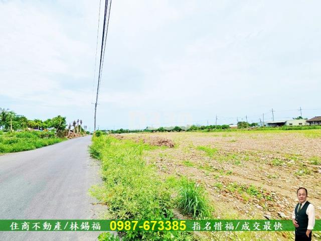 新市農地-3