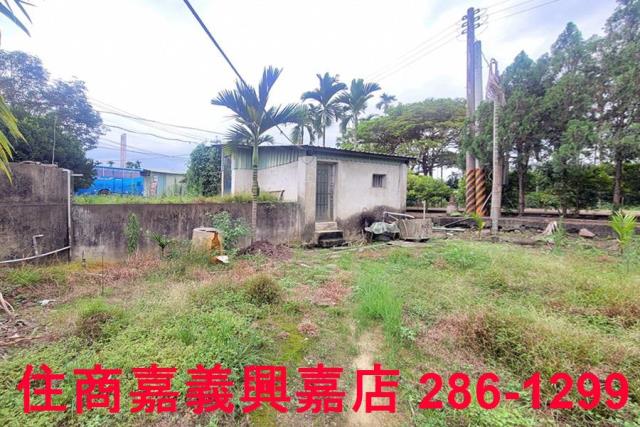 嘉義中埔農地-4