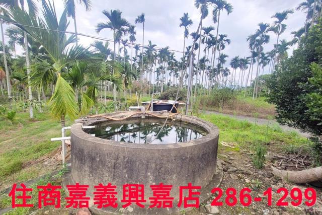 嘉義中埔農地-5