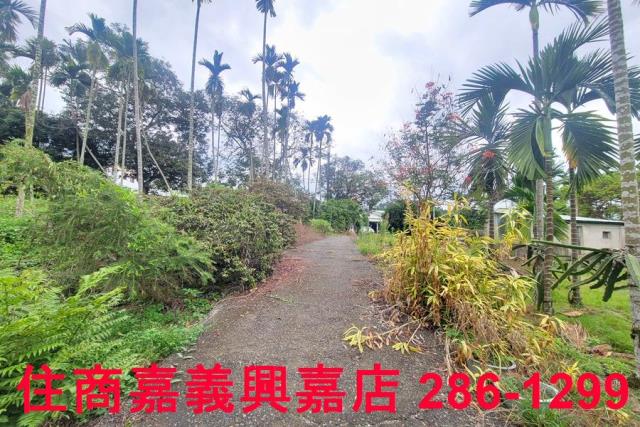 嘉義中埔農地-6