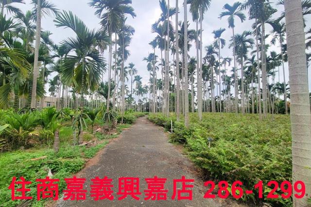 嘉義中埔農地-7