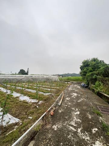 嘉義水上農地-6