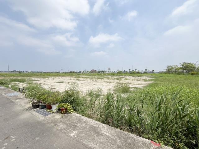 安南農地-6